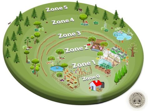 Homestead Layout, Sivananda Yoga, Farm Plans, Homestead Farm, Farm Layout, Permaculture Design, Permaculture Gardening, Zone 5, Zone 2