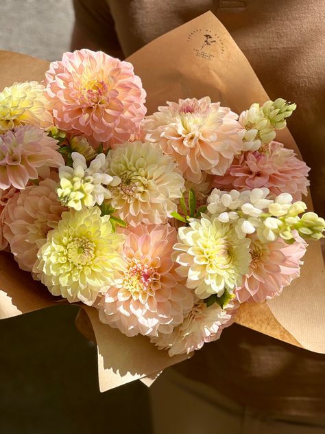 Delilah Flower Bouquet, Bouquet Of Dahlias, Yellow Dahlia Bouquet, Flower Bouquet Dahlia, Dalia Flower Bouquet, Dahlia Bouquet Aesthetic, Daliah Bouquet, Dalia Flower Aesthetic, Dhalia Aesthetic Bouquet