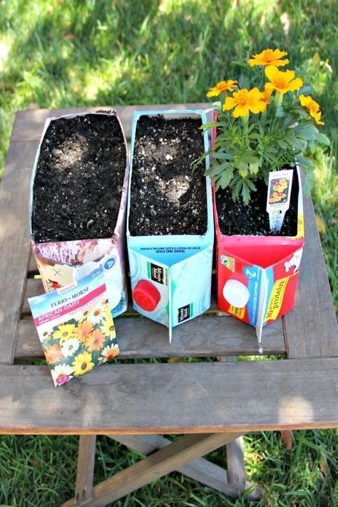 This fun and flower garden for kids is made from an everyday object just sitting in your refrigerator: a juice or milk carton. Garden For Kids, Upcycled Planter, Funny Vine, Milk Carton, Garden Cottage, Flower Planters, Gardening For Kids, Garden Crafts, Everyday Objects