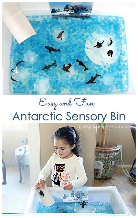 This easy-to-prepare sensory bin is great in an Antarctic unit in the winter and as a fun, educational way for kids to cool off in the summer! #Antarctica #homeschool #preschool #sensoryplay Penguin Toddler Activities, Antarctica Activities For Kids, Antarctica Activities, Winter Sensory Bin, Winter Sensory, Animals Activities, Preschool Montessori, Preschool Sensory, Sensory Bin Ideas