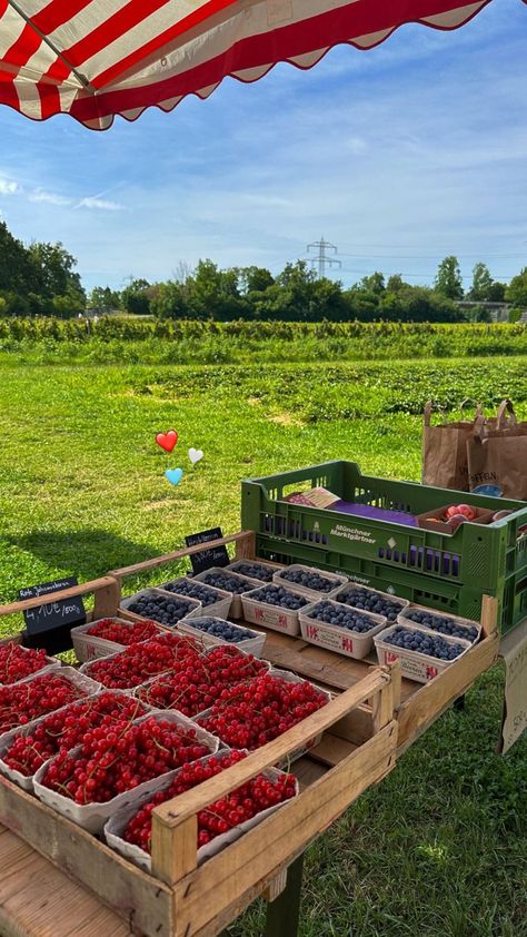 Rich Farm Life Aesthetic, Owning A Farm Aesthetic, Living On A Farm Aesthetic, Farm On The Beach, Summer On The Farm, Farmstand Aesthetic, Farming Aesthetic Country Living, Country Farm Aesthetic, Berry Farm Aesthetic