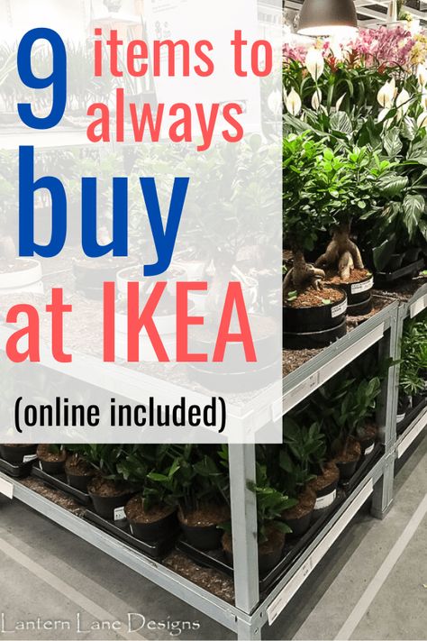 Ikea Knick Knacks, Chilistran Ikea, Best Ikea Pillows, Ikea Shelving Ideas, Must Have Ikea Items, Ikea Frebro, Top Ikea Must Haves, Ikea Must Haves Organizers, Ikea Best Buys