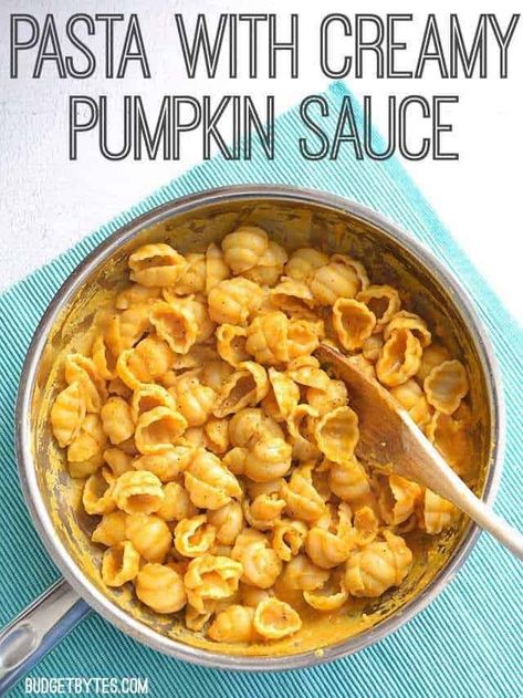 This super simple creamy pumpkin sauce drenches your favorite pasta for a quick, warm, and comforting weeknight dinner. Step by step photos. Pasta Sauce With Milk, Gnocchi Sauce Recipes, No Meat Pasta, Pasta With Pesto Sauce, Garlic Gnocchi, Pumpkin Cooking, Budget Bytes Recipes, Pasta With Ground Beef, Gnocchi Sauce