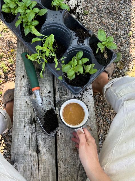 Coffee In Garden Aesthetic, Plant Aesthetic, Plant Mom, Slow Living, Meal Planner, Farm Life, Green Thumb, Vegetable Garden, Sake