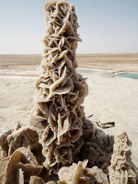 Large desert rose formation in the Tunisian desert Desert Rose Crystal, Desert Roses, Rose Crystal, Geology Rocks, Desert Flowers, Beautiful Rocks, Rocks And Gems, Minerals And Gemstones, Natural Phenomena