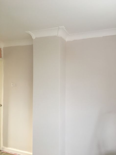 Dulux nutmeg white Off White Paint Dulux Wall Colors, Dulux Nutmeg White Hallway, Nutmeg White Bedroom, Dulux Milky Pail, Feather Soft Dulux Paint, Dulux Nutmeg White Bedroom, Dulux Cream Paint Colour, Almost Oyster Dulux Paint, Nutmeg White Dulux Paint Living Rooms