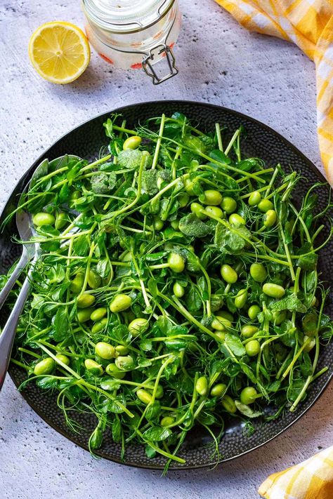 Pea Shoot Salad Recipe With Lemon Dressing | Somebody Feed Seb Pea Shoot Salad, Salad With Lemon Dressing, Recipe With Lemon, Pea Shoots, Savory Recipe, Micro Garden, Side Salad Recipes, Salad With Lemon, Steamed Green Beans