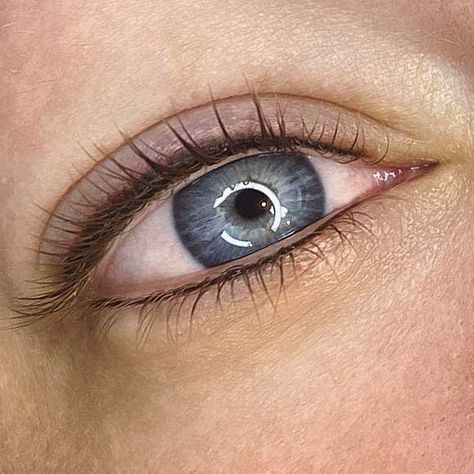 Permanent Eyeliner Blue Eyes, Permanent Brown Eyeliner, Permanent Eyeliner Bottom Only, Permanent Eyeliner Styles Natural, Brown Permanent Eyeliner, Permanent Eye Makeup, Ombre Eyeliner Tattoo, Natural Permanent Eyeliner, Natural Eyeliner Tattoo