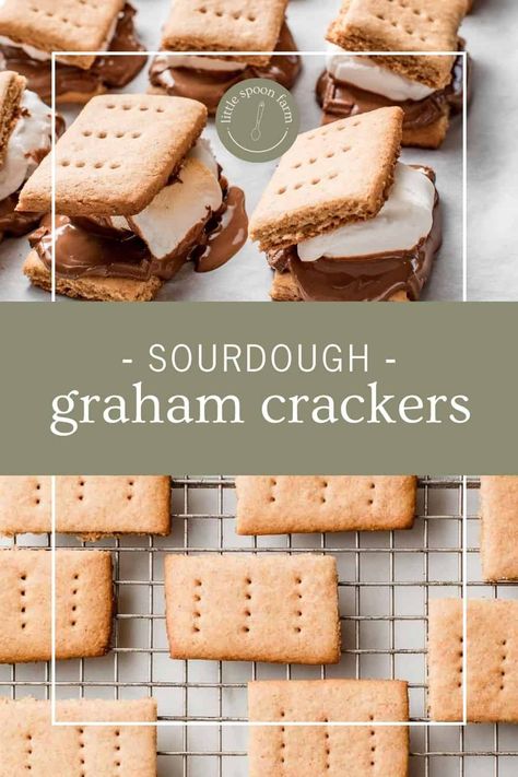 Graham Cracker Recipe, Marshmallow And Chocolate, Recipe Using Sourdough Starter, Cracker Recipe, Graham Cracker Recipes, Chocolate Creations, Sourdough Starter Discard Recipe, Homemade Graham Crackers, Gluten Free Sourdough