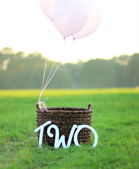 Props for a second birthday shoot   http://caitlinswansonphotography.com/ 2 Nd Birthday Photoshoot, 2nd Year Birthday Photoshoot Ideas, Second Birthday Photo Shoot Outside, Props For Birthday Photoshoot, Second Birthday Photoshoot Ideas, Second Birthday Girl Photoshooting, Outdoor 2nd Birthday Photoshoot, Second Birthday Photo Shoot Ideas, Two Year Old Birthday Photo Shoot