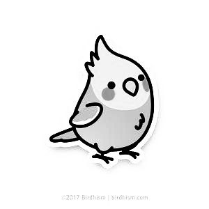 Cartoon Bird Tattoo, Budgie Tattoo Simple, Parakeet Tattoo, Cockatiel Tattoo, Charlie Tattoo, Parrot Tattoo, Parakeet Bird, Cute Clip Art, Bug Tattoo