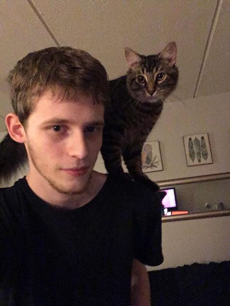 My cat sits on my shoulder like a Parrot and lets me walk around and do stuff. I love him. Cat On Shoulder, Sleepy Animals, Cat Makeup Halloween, Cat Reference, Human Drawing, Human Reference, Silly Cats Pictures, Sitting Poses, Cat Makeup