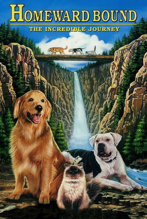 Homeward Bound: The Incredible Journey (1993) Homeward Bound Movie, Tattoo Pieces, Cat Movie, The Incredible Journey, Dog Movies, Jean Smart, Adventure Movie, Chandler Riggs, Homeward Bound