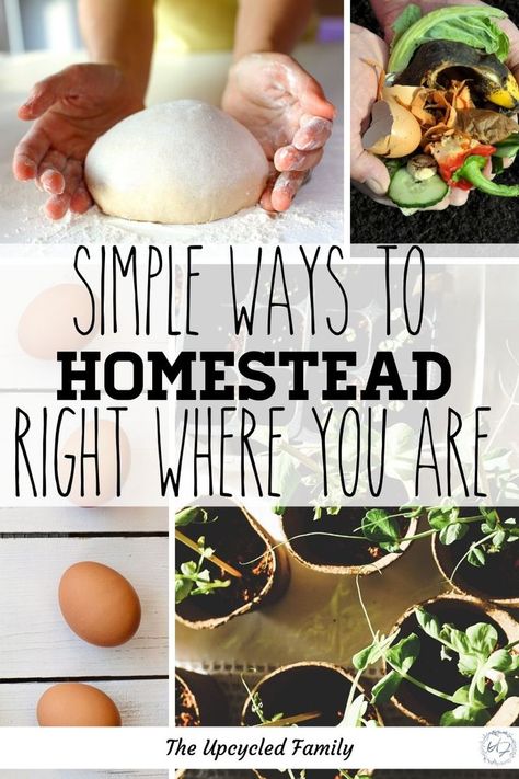 How To Start Homesteading Slowly, Homesteading Life, Dream Homestead, Homesteading For Beginners, Homesteading Diy, Homestead Life, Homesteading Ideas, Living Simple, Homestead Farm