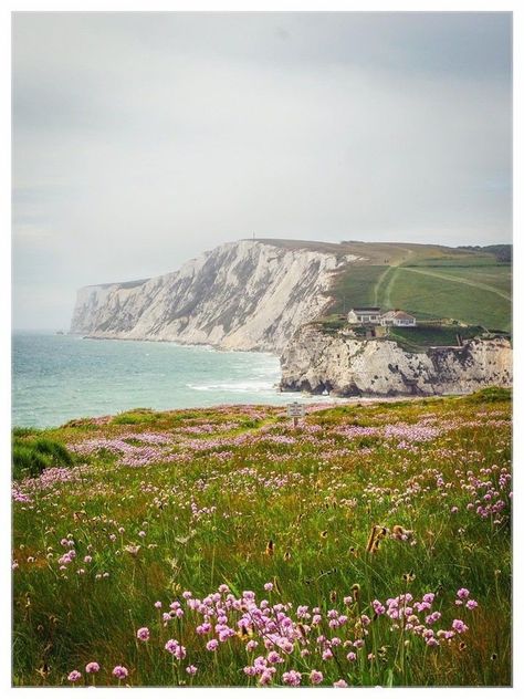 England Nature Aesthetic, English Coast Aesthetic, Southampton England Aesthetic, English Beach Aesthetic, English Seaside Aesthetic, South England Aesthetic, Isle Of Wight Aesthetic, England Countryside Aesthetic, Cliff Photography