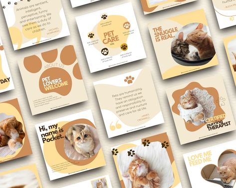 Buy Pet Instagram Templates Canva Pet Canva Templates Pet Online in India - Etsy Pet Instagram, Dog Template, Pet Branding, Cat Instagram, Social Media Branding Design, Instagram Theme Feed, Instagram Template Design, Modern Pet, Pet Style