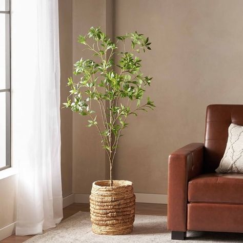 Bergweg Artificial Pieris Tree by Christopher Knight Home - On Sale - Bed Bath & Beyond - 36004495 Broadleaf Evergreen, Faux Tree, Evergreen Plants, Potted Trees, High Maintenance, Money Trees, Artificial Tree, Noble House, Christopher Knight Home