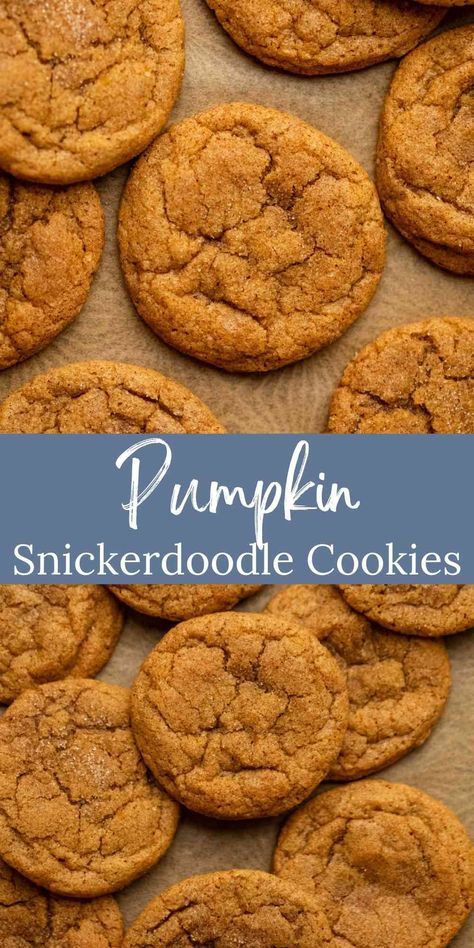 Pumpkin Snickerdoodle Cookie Recipe, Pumpkin Snickerdoodle Cookies, Pumpkin Spice Cookie Recipe, Pumpkin Cookies Easy, Spice Cookie Recipes, Spice Sugar Cookies, Pumpkin Pie Cookies, Fall Cookie Recipes, Pumpkin Snickerdoodles