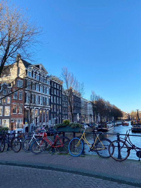 netherlandsamsterdambiketravelstudentlifecanals Bikes In Amsterdam, Amsterdam Bike Aesthetic, Living In The Netherlands Aesthetic, The Netherlands Travel, Biking Netherlands, Amsterdam Netherlands Aesthetic, Biking Amsterdam, Netherlands University, University Amsterdam