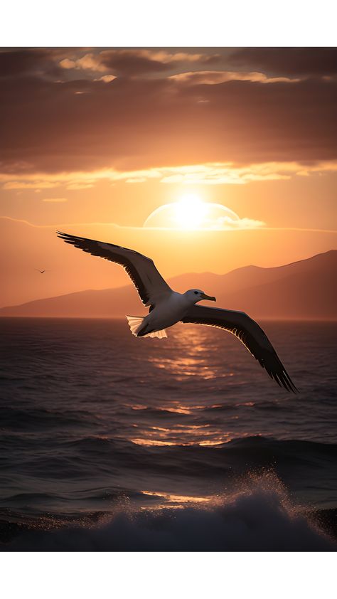 Albatross Photography, Albatross Aesthetic, Birds Flying Painting, Birds Flying Aesthetic, Albatross Wallpaper, Beautiful Sunset Nature, The Biggest Bird, Bird Photos Photography, Albatross Bird