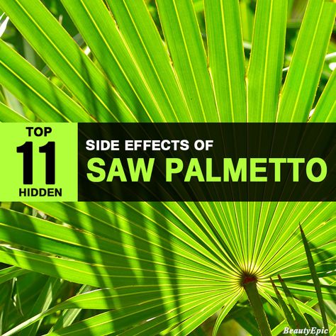 Top 11 Hidden Side Effects Of Saw Palmetto You Didn’t Know About Benefits Of Saw Palmetto For Women, Saw Palmetto Benefits Men, Saw Palmetto Benefits Woman, Saw Palmetto For Women Benefits, Saw Palmetto Benefits, Reishi Mushroom Benefits, Frankincense Oil Uses, Cinnamon Health Benefits, Watermelon Health Benefits