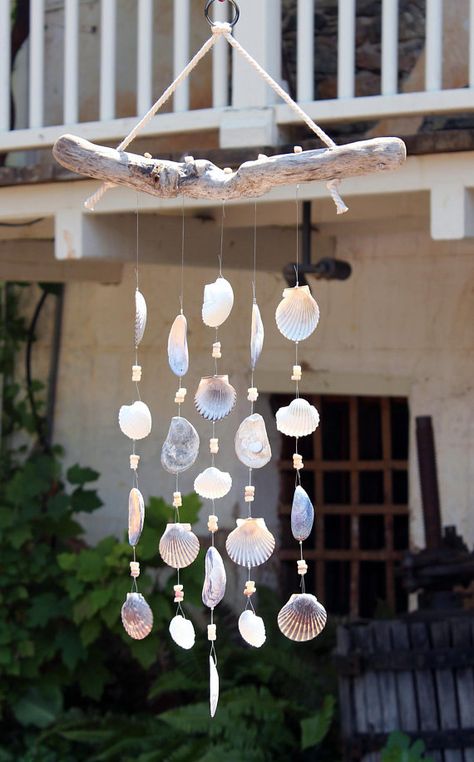 Seashell Wind Chimes, Shell Wind Chimes, Seashell Projects, Driftwood Projects, Diy Wind Chimes, Driftwood Sculpture, Sand Dollars, Glass Planter, Driftwood Crafts