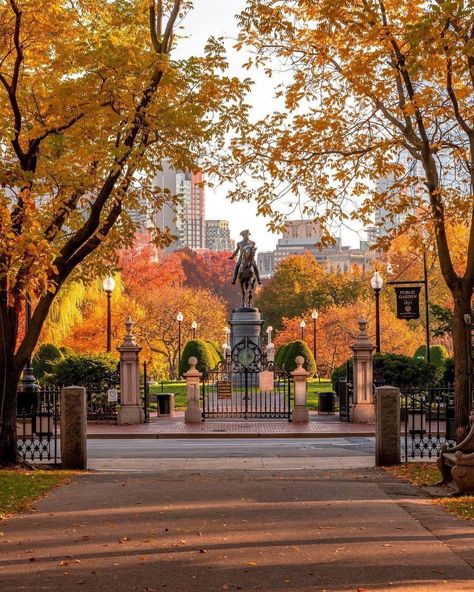 Better In Boston, Boston In The Fall, Boston With Kids, Massachusetts Fall, Massachusetts Aesthetic, Boston Aesthetic, Boston Photography, Boston Trip, Boston Public Garden