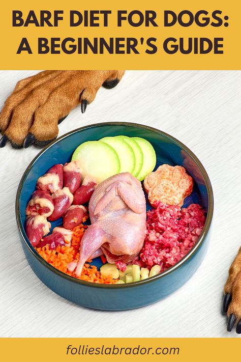 New to BARF diets for dogs? This beginner's guide will walk you through everything you need to know to get started with raw feeding for your pet. #DogOwners #BARFDiet #RawFeedingGuide #HealthyDogs Dog Raw Food Diet, Raw Food Diet For Beginners, Barf Diet For Dogs, Dog Raw Food, Raw Diet For Dogs, Raw Feeding For Dogs, Nutritious Meal Ideas, Raw Dog Food Diet, Health Essentials