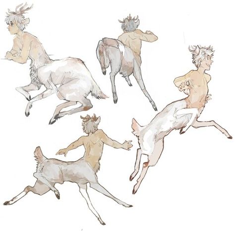 Centaur Deer, Deer Centaur, Sheridan Animation, Magic Creatures, Male Deer, Male Reference, Fantasy Magic, Wow Art, Design Challenge