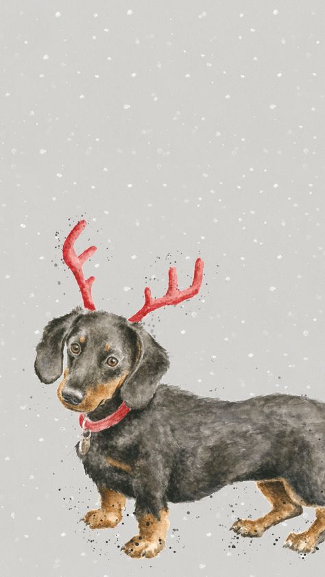 Dachshund Christmas Phone Wallpaper Daschund Wallpaper, High Quality Anime Wallpaper, Quality Anime Wallpaper, Dog Lockscreen, Dachshund Wallpaper, Arte Dachshund, Xmas Wallpaper, Christmas Wallpaper Backgrounds, Dachshund Art