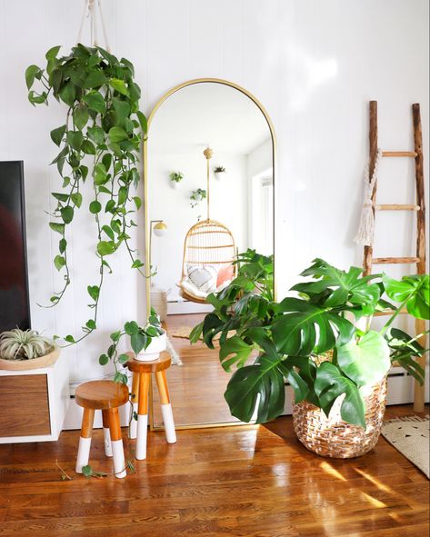 Arch Mirror Decor, Floor Mirror Living Room, Floor Mirror Decor, Galvanized Pumpkin, Indoor Floor Plants, Living Room Plants Decor, Tall Indoor Plants, Mirror Decor Living Room, Living Room Plants