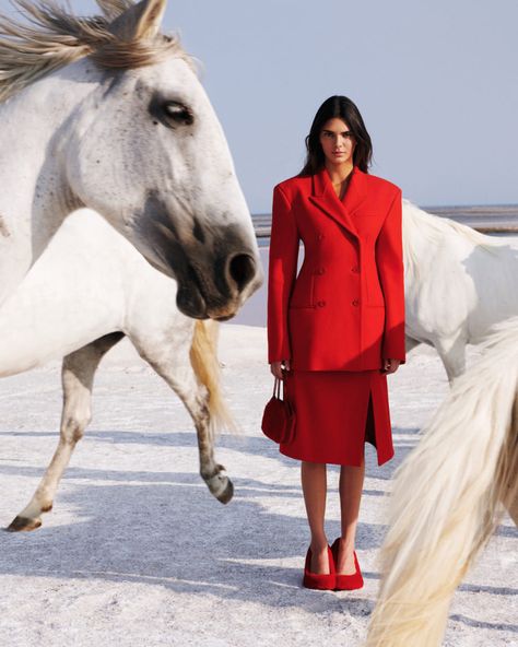 Stella Mcartney, Style Kendall Jenner, Stile Kendall Jenner, Horse Photography Poses, Trendy Outfits Inspiration, Harley Weir, Horse Fashion, Charlotte Casiraghi, White Horses