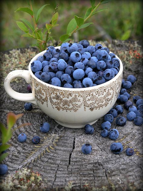 "My kind of tea party!" by Blondieyooper, via Flickr Color Splash Photography, Splash Photography, Coffee Cake, Fruits And Veggies, A Bowl, Blueberries, Fruits And Vegetables, Fresh Fruit, A Tree