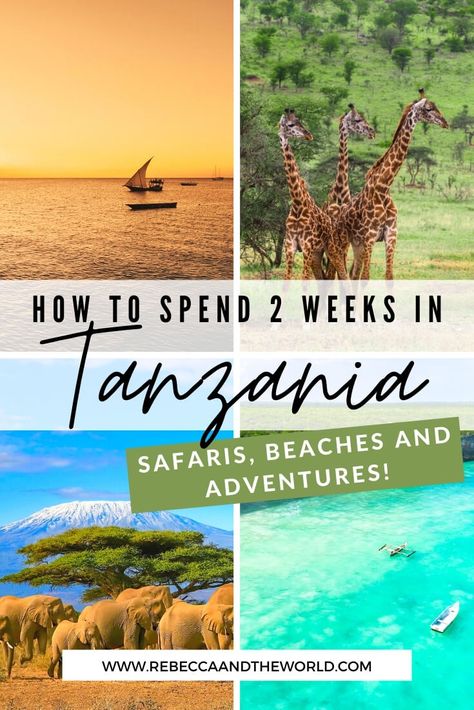 Looking for a unique Tanzania itinerary that mixes adventure, safaris, culture and beaches? Then this 2 weeks in Tanzania itinerary is right for you! | #Tanzania #EastAfrica #AfricaTravel #safari #TanzaniaItinerary #TanzaniaTravel #Zanzibar #Serengeti Tanzania Itinerary, Zanzibar Itinerary, Africa Itinerary, Zanzibar Travel, Tanzania Travel, Tanzania Africa, Best Honeymoon Destinations, Travel Secrets, Tanzania Safari