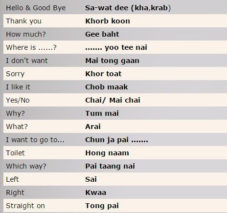 Thai Phrases Basic, Basic Thai Words, Thailand Words Basic, Thailand Words, Thailand Learning, Thai Phrases, Thailand Language, Thai Alphabet, Learn Thai Language