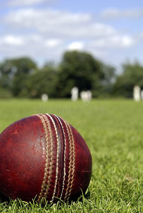 Tumblr, Cricket Bowling Wallpaper, Cricket Asethic, Cricket Aesthetic Wallpaper, Cricket Bat And Ball, Cricket Aesthetic, Cricket Images, Cricket England, Pak Cricket