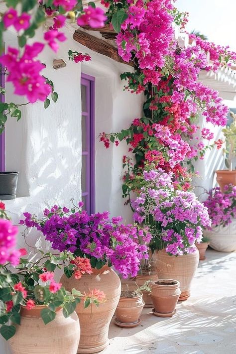 Mexican Hacienda Patio, Bougainvillea Front Porch, Mexican Porch Ideas, Bougainvillea Landscaping Ideas, Mexican Patios, Patio Mexicano, Mexican Plants, Mexican Patio Ideas, Mexican Patio Hacienda Style