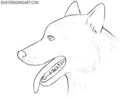 How to Draw a Dog Face | Easy Drawing Art Face Easy Drawing, Side Face Drawing, Dog Face Drawing, Draw A Dog, Border Collie Art, Drawing Lesson, Pointed Ears, Sharp Teeth, Dog Eyes