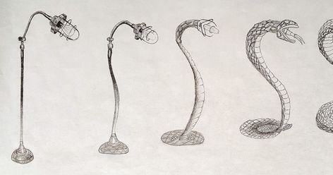 Metamorphosis Transformation from Object to Animal  Willow Ethan L  Andrea  Nadia  Rylie  Nathan  Helena  A... Metamorphosis Art, Evolution Art, High School Art Projects, Double Exposition, Object Drawing, High School Art, School Art Projects, Middle School Art, Art Lesson Plans