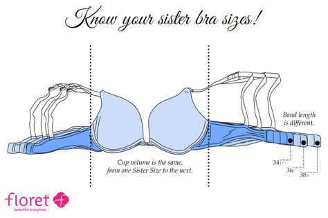 B Cup Example, Bra Guide, Bra Measurements, Cup Sizes, B Cup, Cup Size, Bra Women, Bra Sizes, Lingerie