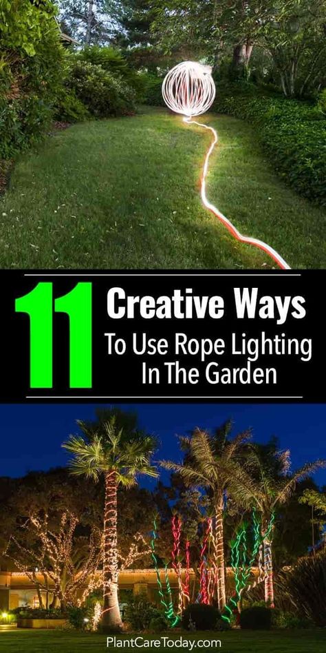 Rope lighting is an outdoor landscape lighting element to use for creating that final WOW factor, lighting tree trunks, garden beds, steps [Creative Ideas] #GardenLighting Lighting Tree, Rope Lighting, Backyard Garden Landscape, Video Garden, Outdoor Landscape Lighting, Small Backyard Gardens, Outdoor Landscape, Backyard Lighting, Rope Lights