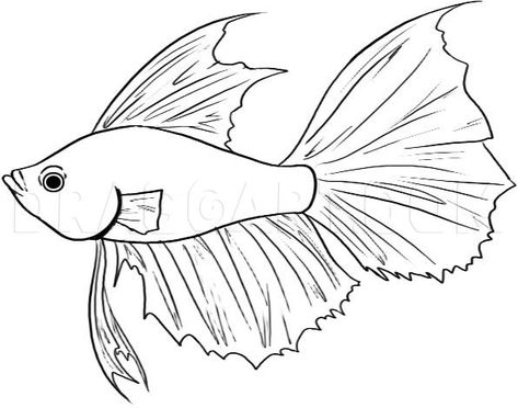 Beta Fish Drawing, Easy Fish Drawing, Sea Creatures Drawing, Fish Outline, Fish Coloring, Drawn Fish, Fish Coloring Page, Animal Templates, Lion Fish