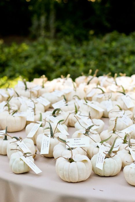 For an autumn wedding miniature ghost pumpkins make excellent escort cards Simple Wedding Favors, Pumpkin Favors, Fall Garden Wedding, Elegant Pumpkins, Pumpkin Wedding, Wedding Reception Ideas, Wedding Favors Fall, Seating Cards, Favors Diy