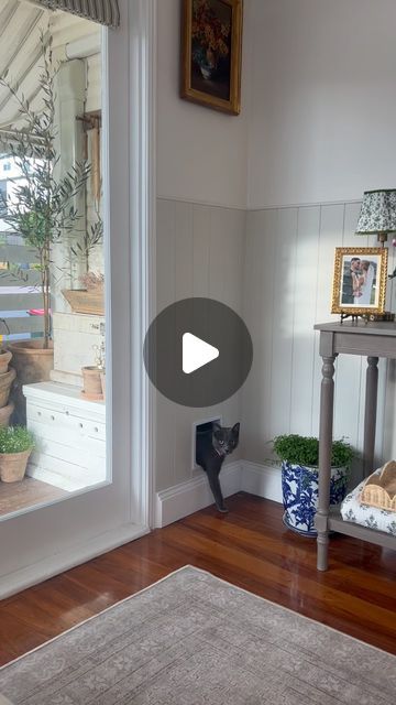 OLIVE on Instagram: "Kitty litter was just simply not the vibe 😂

Having a small house and an indoor cat leaves you with limited options for the placement of a kitty litter. Amazingly, my dad helped me create this indoor outdoor solution that keeps Pepper protected whist separating the kitty litter from our indoor areas 🤍

It’s the little things 🥰
.
.
.

#olivehomeinteriors #homeinteriors #homerenovation #homereno #paint #whitepaint #homestyle #homestyling #brass #doordesign #freshpaint #frenchprovincial #frenchhome #provincial #interiordesign #kittylitter #cat #catlover #homehacks" Kitty Litter In Bathroom, Cat Litter Small Apartment, Outdoor Cat Litter Box Ideas, Hidden Kitty Litter Box Ideas, Tiny Home Cat Litter, Diy Sifting Litter Box Pine Pellets, Cat Litter Box Odor Control, Cat Houses Indoor, Austin House