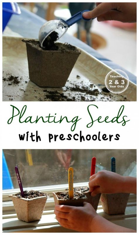 Planting Seeds with Kids from Teaching 2 and 3 Year Olds Gardening With Kids, Gardening Kids Activities, Preschool Garden, Planting For Kids, Garden Activities, Spring Preschool, Preschool Science, Spring Activities, Garden Theme