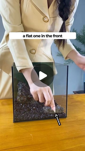 Fishtopia on Instagram: "🐠 Building a MODERN themed fish tank 🐠" Themed Fish Tank, Fish Tank Themes Ideas, Modern Fish Tank, Fish Tank Themes, Themes Ideas, Fish Tank, The Back, Fish, Building