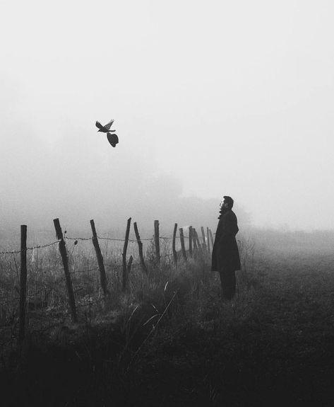 Nantes, Bnw Portrait, Black And White Artwork, Bnw Photography, The Fog, Dark Photography, Black White Photos, Landscape Nature, Aesthetic Images