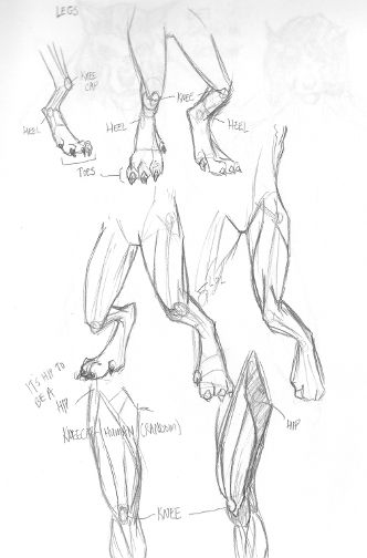 http://online-drawinglessons.com ( Discover how to draw dragons step by step. ) Click here to check out these amazing drawing diagrams. Feet Drawing, Werewolf Art, Anatomy Drawing, Dragon Drawing, Guided Drawing, 판타지 아트, Anatomy Art, Drawing Poses, Drawing Reference Poses