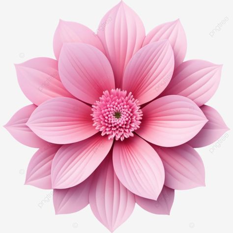 realistic beautiful pink flowers illustration element flowers png Pink Flower Illustration, Pink Flower Png, Flower Pattern Drawing, Element Illustration, Illustration Blume, Flowers Illustration, Flowers Png, Beautiful Pink Flowers, Transparent Image