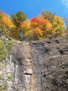 Cape Charles Virginia, Grayson Highlands, Horseback Riding Trails, Shenandoah River, Scott County, Gate City, Smith Mountain Lake, Norfolk Virginia, The Gorge